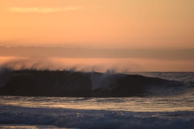 DSC_2783.JPG