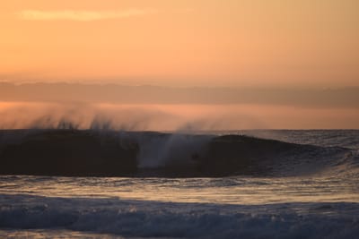 DSC_2784.JPG