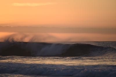 DSC_2785.JPG