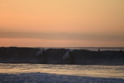 DSC_2786.JPG