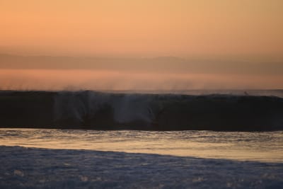 DSC_2788.JPG