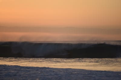 DSC_2789.JPG