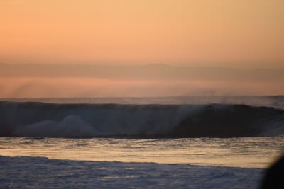 DSC_2790.JPG