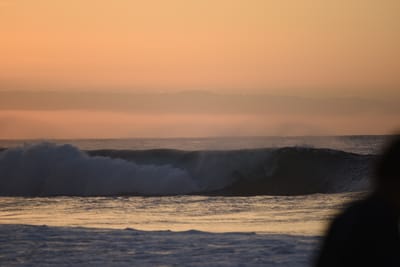 DSC_2791.JPG