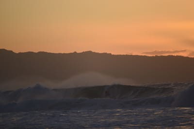 DSC_2795.JPG
