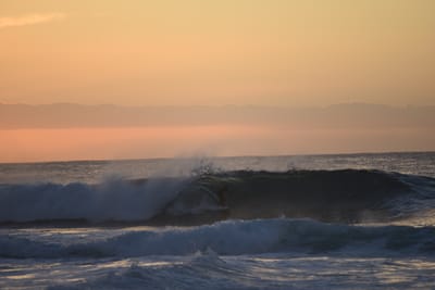 DSC_2797.JPG