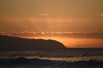 DSC_2799.JPG