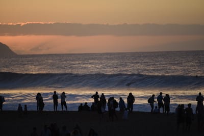 DSC_2803.JPG