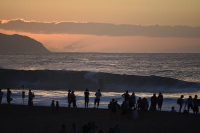 DSC_2806.JPG