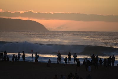 DSC_2808.JPG
