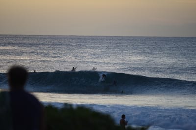 DSC_2809.JPG