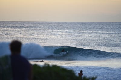 DSC_2812.JPG