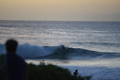 DSC_2813.JPG