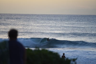 DSC_2816.JPG