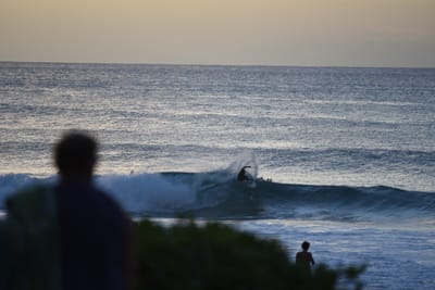 DSC_2817.JPG