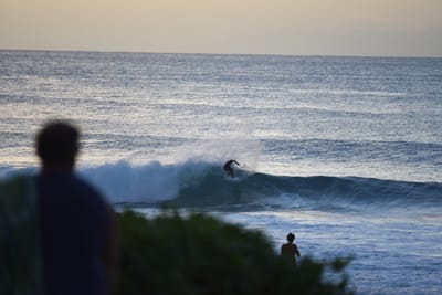 DSC_2818.JPG