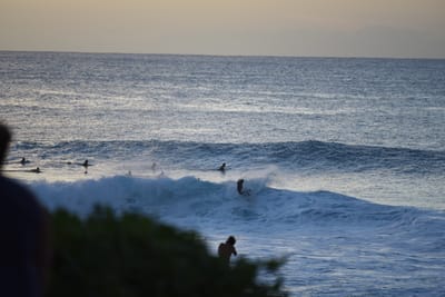 DSC_2819.JPG