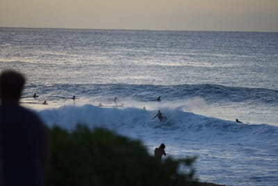 DSC_2820.JPG