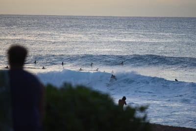 DSC_2821.JPG