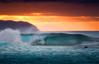 DSC_2417-Edit-2.jpg