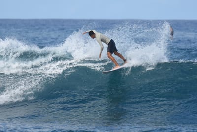 DSC_7955.JPG