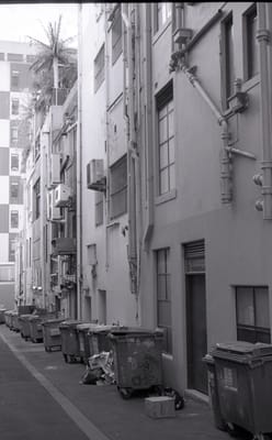 nikon_013.jpg
