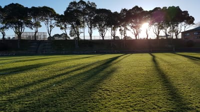 20170729_074001.jpg
