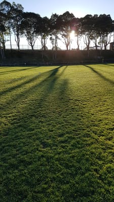 20170729_074017.jpg