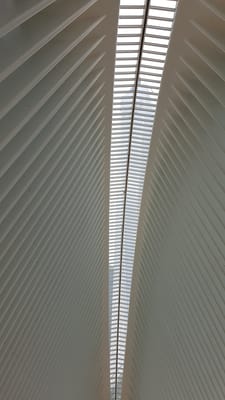 20170520_113128.jpg