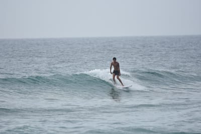 DSC_4344.JPG