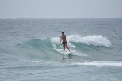 DSC_4349.JPG