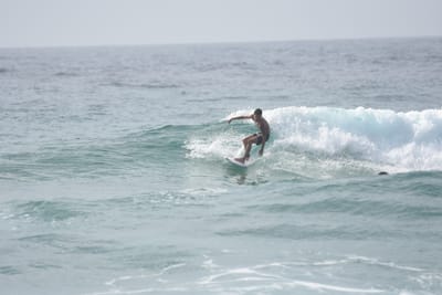 DSC_4371.JPG