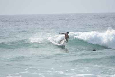DSC_4373.JPG