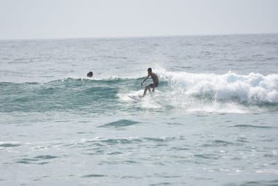 DSC_4410.JPG