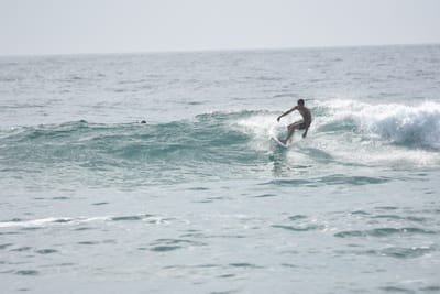 DSC_4411.JPG
