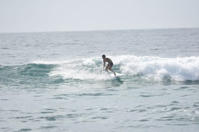 DSC_4413.JPG