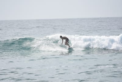 DSC_4414.JPG