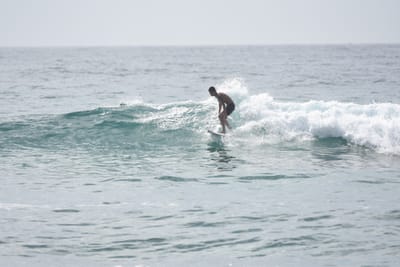 DSC_4415.JPG