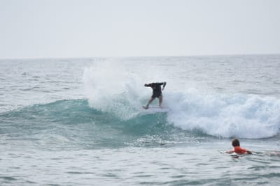 DSC_4424.JPG