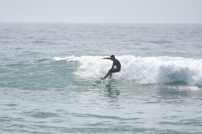 DSC_4438.JPG
