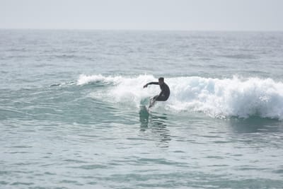 DSC_4439.JPG