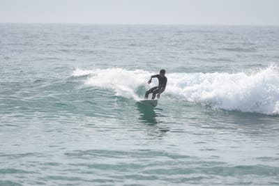 DSC_4440.JPG