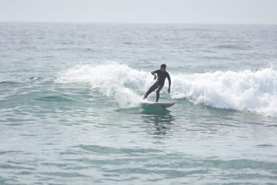 DSC_4441.JPG