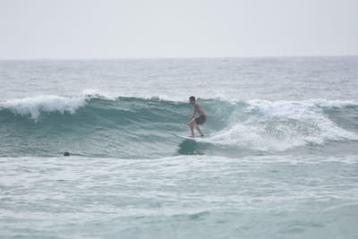 DSC_4458.JPG