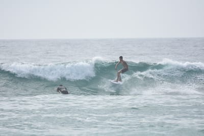 DSC_4459.JPG