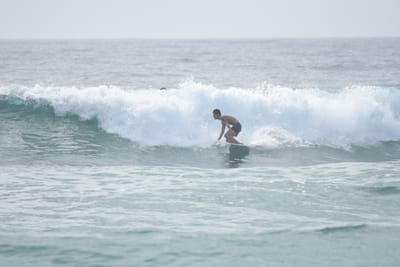 DSC_4461.JPG