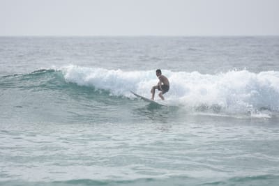 DSC_4462.JPG