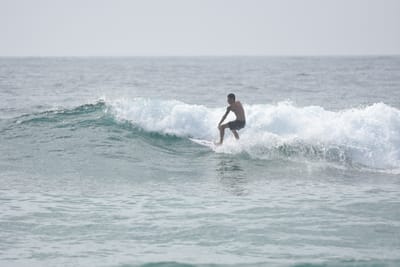 DSC_4463.JPG