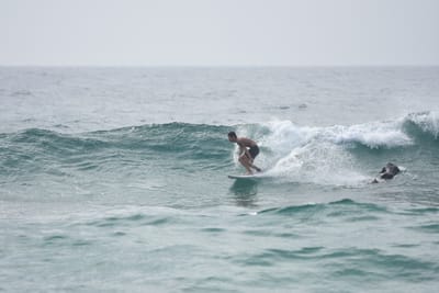 DSC_4499.JPG