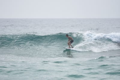 DSC_4500.JPG